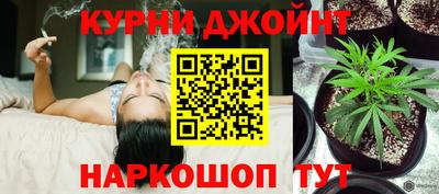 сатива Братск
