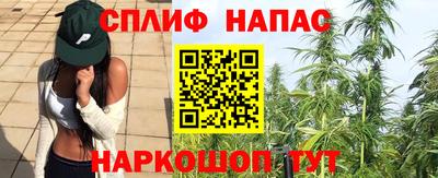 сатива Братск