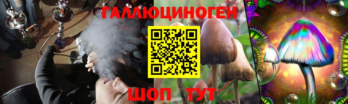 Галлюциногенные грибы Psilocybe Грязи